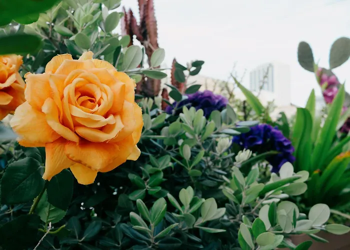 Sereno - Luxury With Hot Tub - Walk To St Julian's And Paceville